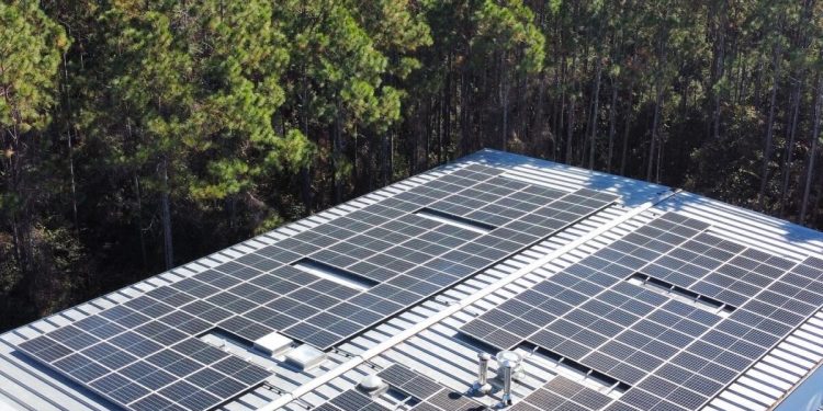 Optimus Energy eyes commercial solar, EV charging expansion in Georgia – pv magazine USA