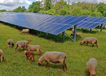 Estimating cultivable land at photovoltaic sites for dual-purpose use