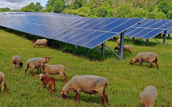Estimating cultivable land at photovoltaic sites for dual-purpose use
