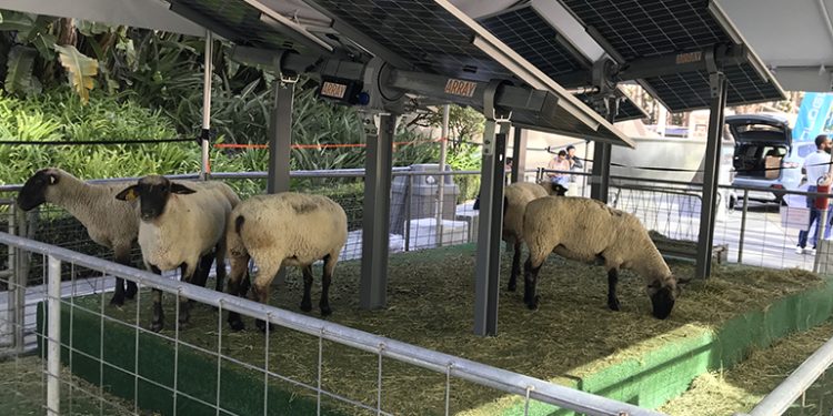 More on racking, trackers and carports at RE+ 2024