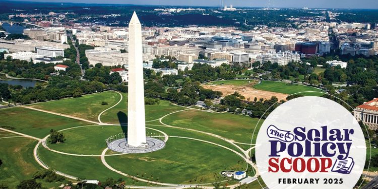 The Solar Policy Scoop: February 2025